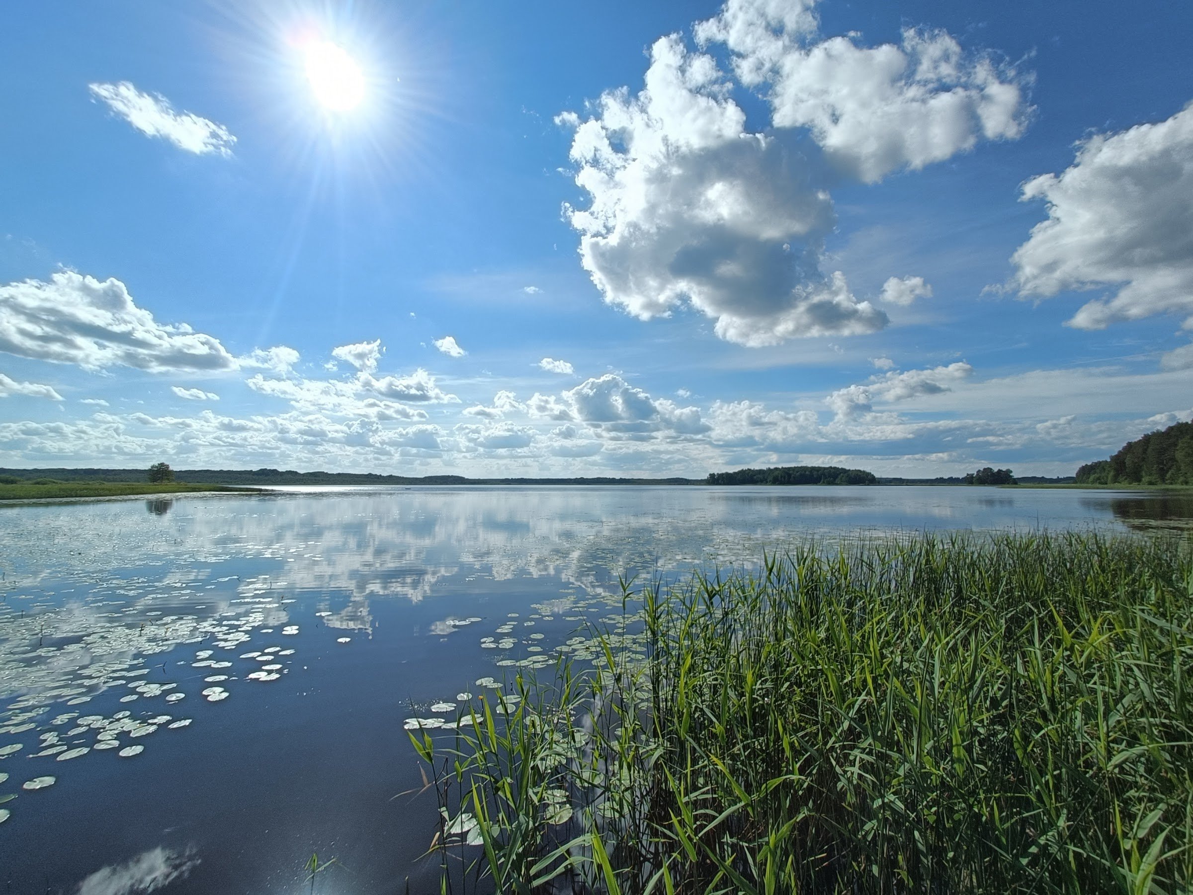 RMK Kaiu järve lõkkekoht